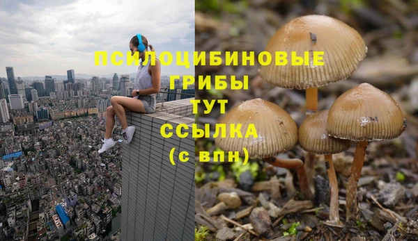 сатива Балабаново