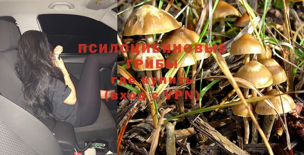 сатива Балабаново