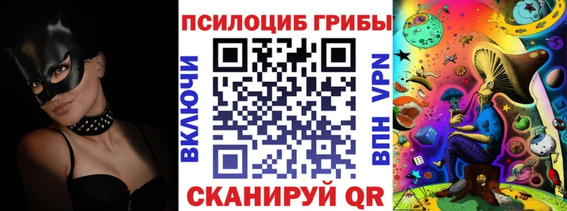 MEGA ТОР  Зима  Псилоцибиновые грибы Psilocybe  магазин продажи  